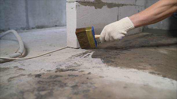 Top rated local Waterproofing specialists in Port Royal, KY